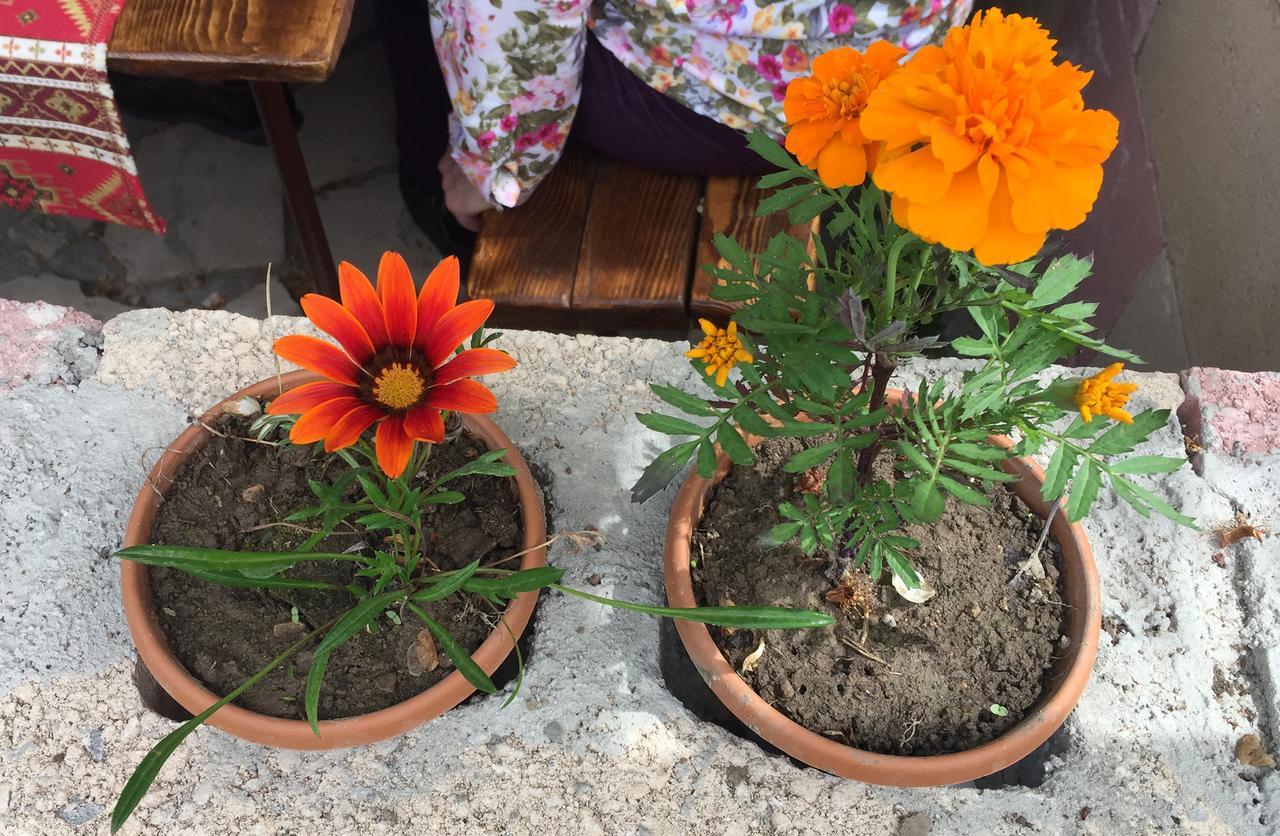Three Jugs B&B Jrvezh Bagian luar foto